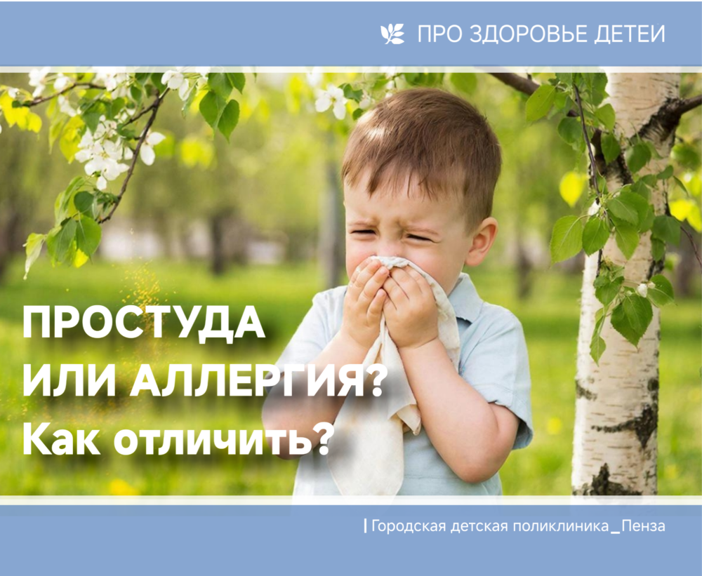 Простуда или аллергия – как отличить? Разъясняют врачи-аллергологи-иммунологи