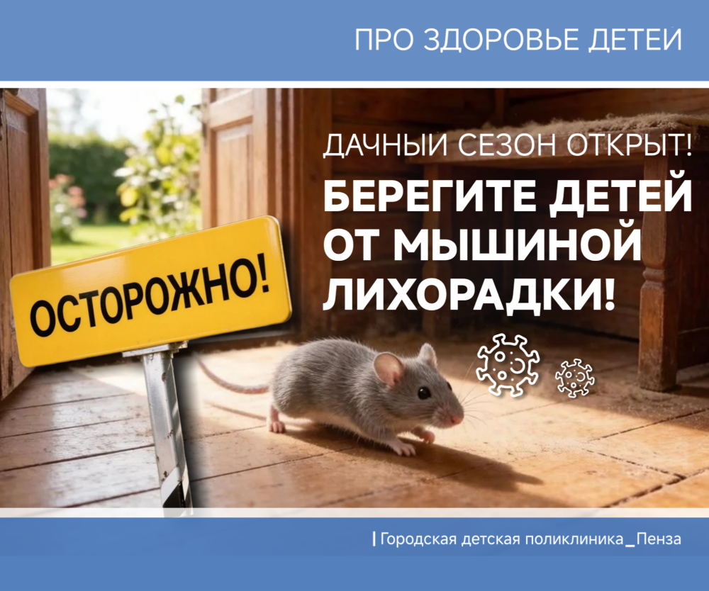 "Мышка бежала, хвостиком махнула!" Как не столкнуться на даче с опасной инфекцией — геморрагической лихорадкой с почечным синдромом, переносчиками которой являются грызуны, рассказываем пензенцам  ⁣