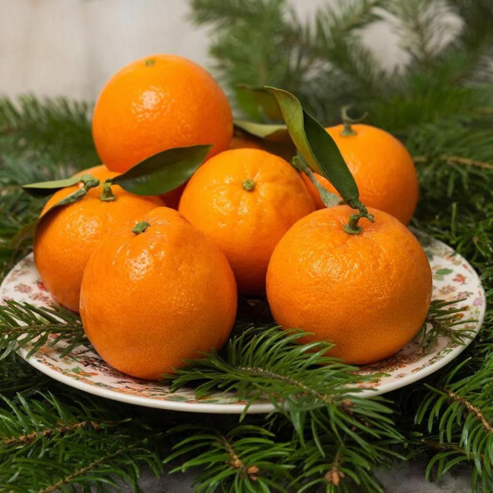 Сколько мандаринов можно съедать ребенку без вреда для здоровья?