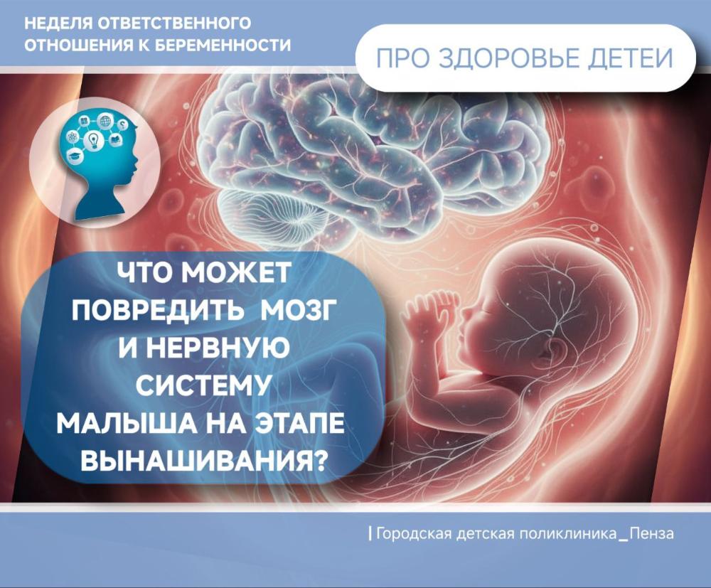 Что может помешать формированию нервной системы и мозга малыша в утробе матери?