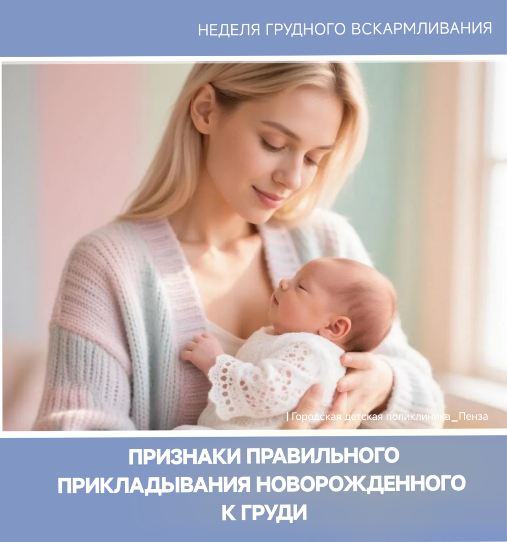 Признаки правильного прикладывания ребенка к груди /Врач-педиатр Е.Комарова/